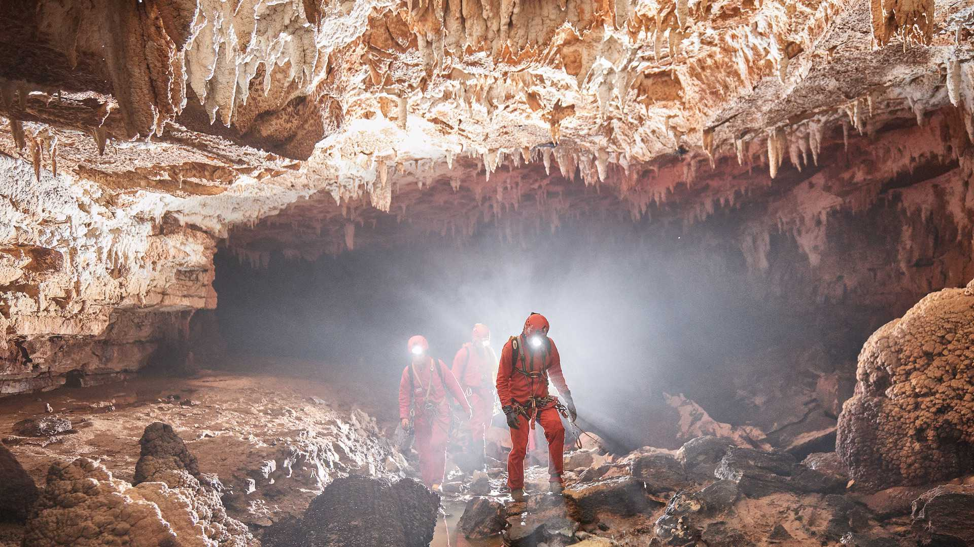 Nova društvena spletna stran